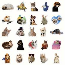 50pcs Funny Animal Staring Stickers - Waterproof Transparent PET Material, Perfect For Decorating Phones, Laptops, Luggage, Mirrors, Guitars, Helmets And More. - Multicolor - View 7
