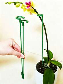 20pcs Plant Support Stakes, Flower Pot Support Rods For Gardening Potted Plants Orchid Support, Orchid Support Rods Plant Potted Flower Protection Frame Fixed 10//5/1pc Optional, Autumn Decoration, Bedroom Decoration, Christmas Decoration, Living Room Accessories, Party Supplies, Halloween Decoration, Graduation Decoration, Home Supplies, Halloween Home Decor, Bathroom Decoration, Travel Essentials, Bedroom Accessories, Birthday Gift For Women - Multicolor - View 11