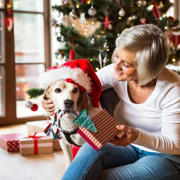 10pcs Christmas Pet Rope Chew Accessory, Festive Plush Tree Shaped Tug Toy, Durable Braided Cotton Rope Teething Gadget, Xmas Holiday Interactive Play Gear, Bite Resistant Dental Care Accessory For Dogs, Ideal Christmas Eve Pet Gift