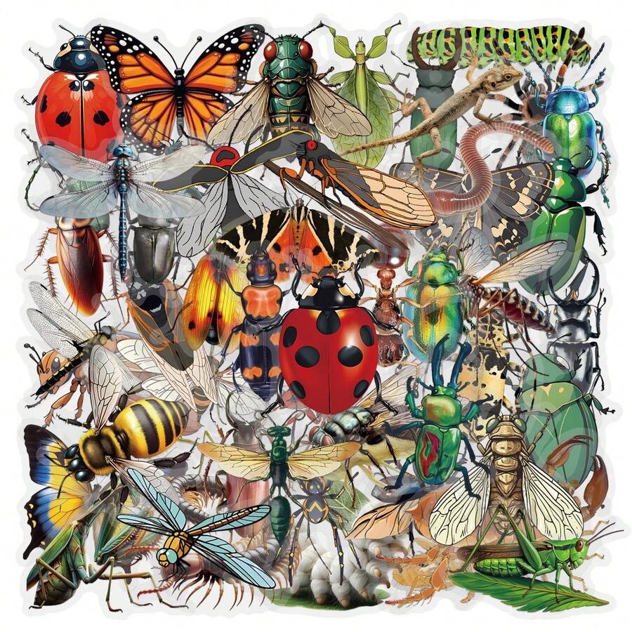 Transparent Colorful Insect Stickers, Arts And Crafts, For Decorating ...