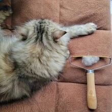 1pc Multi-Fabric And Carpet Fur Scraper, Deep Cleaning Hair Remover, Suitable For Sofas, Carpets, Pet Towers And Furniture For Cats And Dogs - Multicolor - View 8