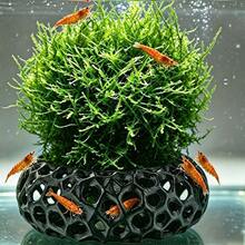 水族植物蝦躲藏洞、圓形水族洞穴，適用於櫻桃蝦與矮蝦，適合植栽蝦缸配件，水族裝飾 - 查看 3