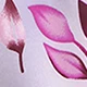 Purple Leaf