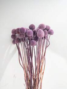 10/20/30pcs Artificial Craspedia Yellow Billy Ball Flower Heads, Large Diameter Approx 1-1/2 Inch, For Home Decor, Photo Props, DIY Wedding Decoration - Light Purple - View 7