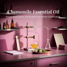 SU JUABA Chamomile Essential Oil For Skin Care, Diffuser, Add To Lotion, Body Wash, Ideal For Bedtime, After Shower, Relax Body-118mL / 4 FI. Oz - Chamomile - View 7