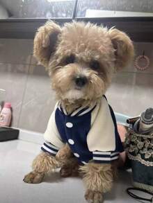 1pc Pet Dog Baseball Jacket, Warm Fleece Winter Dog Coat With D‑Ring, Patch Design Casual Puppy Baseball Outfit, Soft Pet Clothes For Small Medium Dogs - Navy Blue - View 5