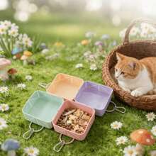 Silicone Collapsible Pet Bowl For Cats And Dogs, Portable Outdoor Feeding And Drinking Bowl, Easy To Clean And Durable Dog Food Bowl For Walking - Multicolor - View 2