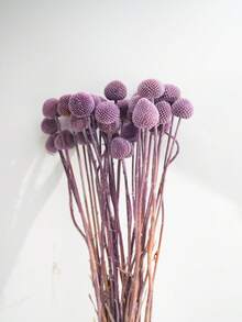 10/20/30pcs Artificial Craspedia Yellow Billy Ball Flower Heads, Large Diameter Approx 1-1/2 Inch, For Home Decor, Photo Props, DIY Wedding Decoration - Light Purple - View 4