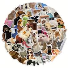 50pcs Funny Animal Staring Stickers - Waterproof Transparent PET Material, Perfect For Decorating Phones, Laptops, Luggage, Mirrors, Guitars, Helmets And More. - Multicolor - View 8