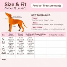 4-Season Solid Color Cat Warm Fleece Pullover Bodysuit, High Elasticity, 3 Colors, Warm & Comfortable, Blue, Light Khaki, Grey, Machine Washable Pet Clothes - Maroon - View 3