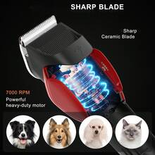 1pc High Power Pet Grooming Clipper, Large Pet Hair Trimmer, USB Rechargeable Electric Shaver For Home Use, Cat And Dog Hair Clipper - View 6
