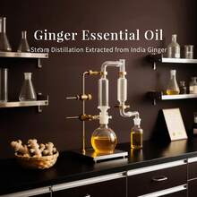 SU JUABA Ginger Oil For Scalp Massage, Diffuser, Aromatherapy, Soothing Body Joint & Muscle Ideal For Hair & Skin Care After Dilution-118mL / 4 Fl.Oz - Ginger - View 5