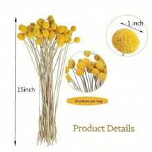10/20/30pcs Artificial Craspedia Yellow Billy Ball Flower Heads, Large Diameter Approx 1-1/2 Inch, For Home Decor, Photo Props, DIY Wedding Decoration - Light Purple - View 8