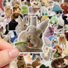 50pcs Funny Animal Staring Stickers - Waterproof Transparent PET Material, Perfect For Decorating Phones, Laptops, Luggage, Mirrors, Guitars, Helmets And More. - Multicolor - View 3