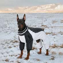 Full Body Dog Coat - Warm Jacket For Medium Dogs, High Collar Winter Coat With Chest Harness, Reflective Dog Snowsuit Windproof Down Jacket With Legs, Four-Legged Snow Suit Pet Warm Coat - Multicolor - View 9