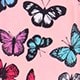 Bloodfang Butterfly