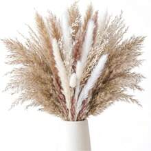 Brown White 1