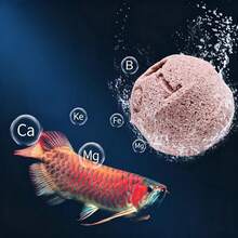 10/20pcs Water Purification And Bacteria Culture Balls Filter Media With Mesh Bag, Aquarium Biological Filtration Media For Fish Tank Water Quality Purification, Removing Aquarium Waste And Improving Water Quality - View 7