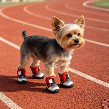 Star Print Breathable Mesh Fabric Wide Hook And Loop Dog Shoes For Small And Medium Dogs Outdoor Walking - Red - View 3