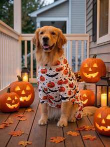 1pc Halloween Dog Anti-Shedding Pajamas, Warm High-Elastic Full Coverage Pet , Anti-Licking Anti-Insect Protection Jumpsuit, Suitable For Small Medium Large Dogs, Halloween All-Over Print Dog Clothes, Cute Pumpkin And Bat Pattern - Multicolor - View 10