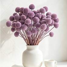 10/20/30pcs Artificial Craspedia Yellow Billy Ball Flower Heads, Large Diameter Approx 1-1/2 Inch, For Home Decor, Photo Props, DIY Wedding Decoration - Light Purple - View 6