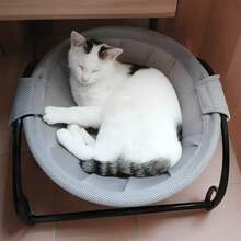 Pet Hammock/Window Perches - Default - View 4
