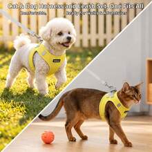 DomKim Anti-Pull Reflective Dog Harness And Leash Set, Escape-Proof Cat Harness With 1.5m Leash, Adjustable Breathable Mesh Pet Vest, Night Reflective Strip, Suitable For Small Dogs, Medium Dogs And Cats Outdoor Walking - Yellow - View 12