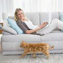 1 Roll Thick Clear Cat Scratch Protector, Self-Adhesive Vinyl Furniture Shield, Waterproof & Durable Anti-Scratch Tape For Sofa, Walls, Doors & Countertops - 3m*45cm - View 8