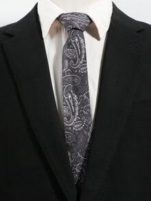 1件裝男士時尚休閒百搭復古佩斯利花紋領帶，適合日常穿著、購物、商務、宴會、派對、約會 - 彩色 - 查看 10