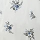 Blue and White