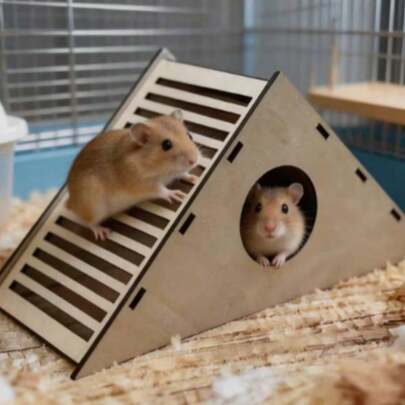 1pc Wooden Hamster Tunnel Toy - Pet Hamster Climbing Slide Hideout, Small Pet Cage Tunnel Toy, Hamster Supplies Tunnel Hideout