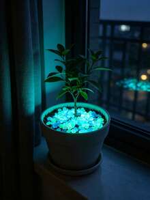 5mm Glow In The Dark Pebbles, Aquarium Bottom Sand Fish Tank Landscaping, Vase Decoration Garden Yard Paving, Halloween Party Garden Landscape DIY Atmosphere Decorative Stones - Luminous Stone - View 8