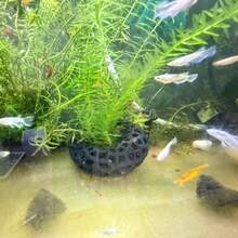 Aquarium Plant Shrimp Cave, Round Aquarium Cave, Suitable For Cherry Shrimp And Dwarf Shrimp, Suitable For Planted Shrimp Tank Accessories, Aquarium Decoration - A - View 5