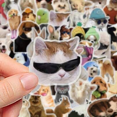 50pcs Funny Animal Staring Stickers - Waterproof Transparent PET Material, Perfect For Decorating Phones, Laptops, Luggage, Mirrors, Guitars, Helmets And More.