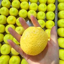somoving 1pc Color-Changing Lemon Squeeze Ball, Soft TPR Material, Crunchy Squeeze Toy, Realistic Lemon Fruit Shape, Anxiety Relief Desk Decor, Fidget Toy, Party Gift, Daily Relaxation - Multicolor - View 3