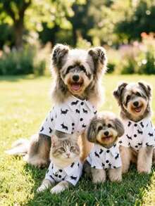 Small Dog Cute Dachshund Print Pet Shirt - Lightweight Short Sleeve Collared Top For Spring/Summer Walks And Photos, Breathable And Comfortable - Multicolor - View 5