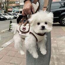 Adjustable Pet Carrier Backpack, Portable Dog Outdoor Walking Bag, Hands‑Free Travel Carry Bag For Small Pets - Multicolor - View 9