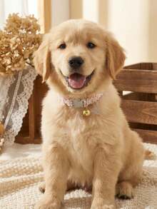 This Cute And Romantic Floral Pet Collar Features A Bell And Pendant. The Adjustable Buckle Makes It Easy And Quick To Unfasten. Suitable For Everyday Indoor Wear By Cats And Dogs, It's A Pet Accessory Suitable For All Seasons. - Multicolor - View 9