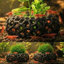 水族植物蝦躲藏洞、圓形水族洞穴，適用於櫻桃蝦與矮蝦，適合植栽蝦缸配件，水族裝飾 - 查看 4