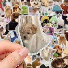 50pcs Funny Animal Staring Stickers - Waterproof Transparent PET Material, Perfect For Decorating Phones, Laptops, Luggage, Mirrors, Guitars, Helmets And More. - Multicolor - View 6