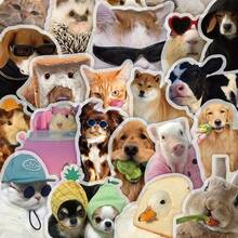50pcs Funny Animal Staring Stickers - Waterproof Transparent PET Material, Perfect For Decorating Phones, Laptops, Luggage, Mirrors, Guitars, Helmets And More. - Multicolor - View 2