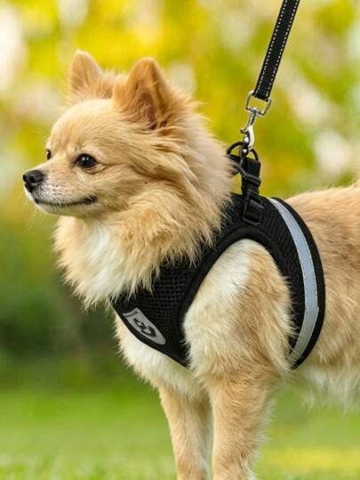 Reflective Pet Harness And Leash Set,For Dogs And Cats, And Adjustable Puppy Harness, Soft Mesh Material,Includes 120cm Leash, Breathable Mesh Escape-Proof Dog Vest, Kitten/Puppy Collar Alternative
