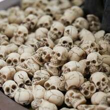 5/20/50/100pcs Halloween Decor Random Spooky Skull Figurine Pack, Aquascaping Supplies, Planter Pot Topper, Lizard Terrarium Home Tabletop Decor - MULTI - View 13