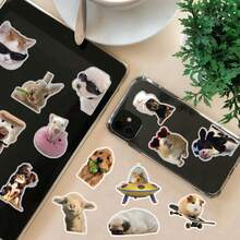 50pcs Funny Animal Staring Stickers - Waterproof Transparent PET Material, Perfect For Decorating Phones, Laptops, Luggage, Mirrors, Guitars, Helmets And More. - Multicolor - View 9