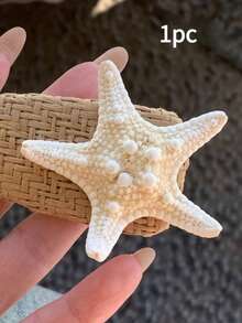 3 Items Conch Shell Five- Praying Mantis Starfish Specimen, Mediterranean Platform Decoration. The Scent Is The Natural Odor Of The Product Itself And Cannot Be Avoided. Please Provide An Objective Review! Thank You - Multicolor - View 8