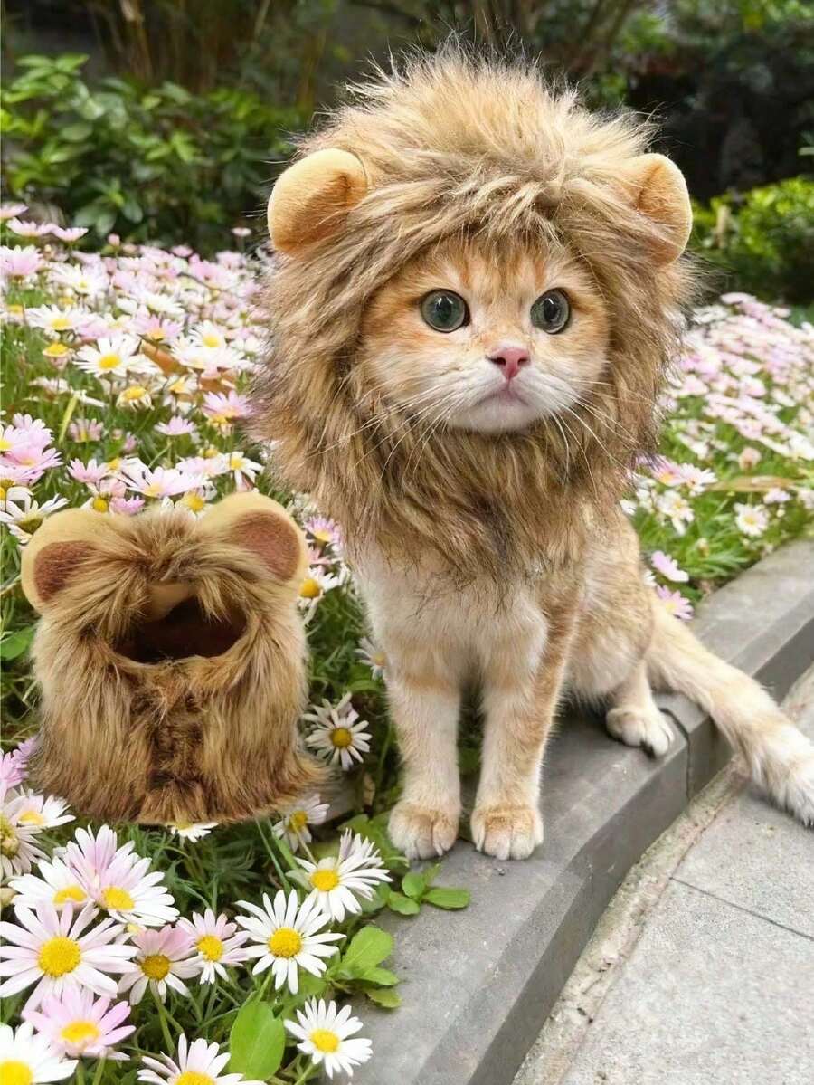 1pc Cute Pet Shaped Hat, Lion Rabbit Frog Bear Shaped Pet Headwear, Suitable For Cats And Dogs Cute Dress-Up Accessories, Halloween, Christmas And Holiday Party Photo Props, Pet Gift - Multicolor - View 1
