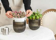 Set Of 2 Hanging Plant Pots, Height 16.5 Cm, Suitable For Placing Plants Indoors And Outdoors - 2pcs - View 4