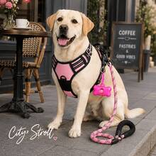 BVEOYPET 3pcs Pink Dog Walking Set, Includes Adjustable Reflective Harness, Extended Leash, Bone-Shaped Poop Bag Dispenser, Cute Outdoor Pet Travel Accessories Suitable For Small, Medium And Large Dogs - Pink - View 5
