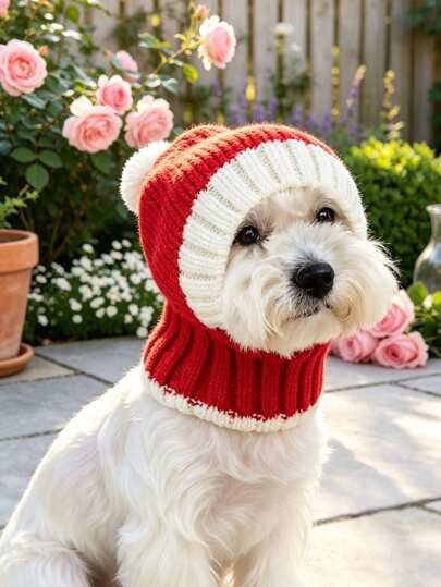 PETCIRCLE 1PC Pet Accessory Small Dog Puppy Cat Cute Versatile Windproof Warm Lightweight Breathable Pointed Knit Hat - Red Christmas