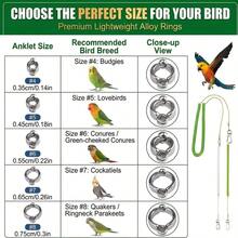 6pcs Set Retractable Parrot Training Leash, With 5 Different Sizes Of Foot Rings, Bird Cage Harness, Parrot Supplies And Tools, Parrot Flight Leash, Anti-Bite Parrot Chest Harness, Bird Flight Training Leash. - A+B - View 8